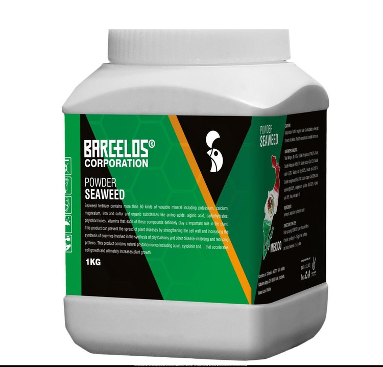 جلبک پودر بارسلوس پرتغال