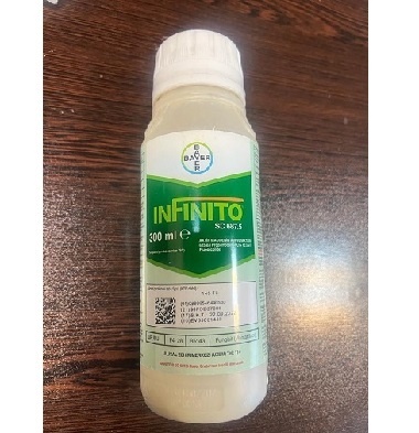 اینفیتو بایر